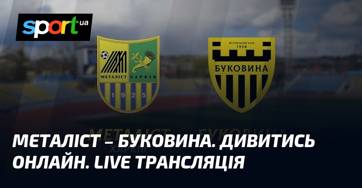 Металіст – Буковина. Дивитись онлайн. LIVE трансляція