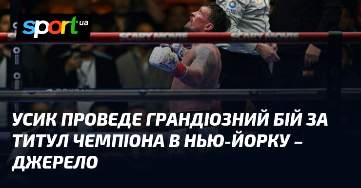 Усик проведе грандіозний бій за титул чемпіона в Нью-Йорку – джерело