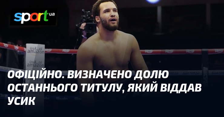 ОФІЦІЙНО. Визначено долю останнього титулу, який віддав Усик